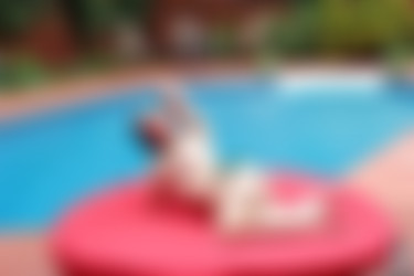 Alikatt/2017-02-06 Summer blues/30.jpg