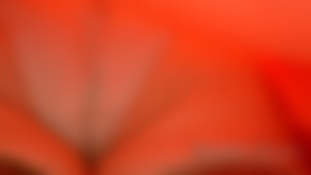 Upskirt-Times.com2/ut_2084.avi