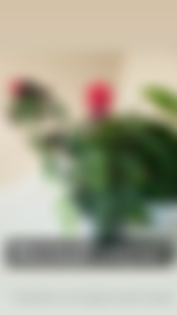 [OnlyFans.com] GiannaMichaels - Update/Images/0cba5db8-1d97-4463-ac73-2542a1858559.jpg