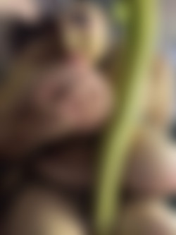 [OnlyFans.com] PeonyFelicity - SiteRip Update/Images/676c07eb-3dfb-4ea5-a3dc-348c7be8cc67.jpg