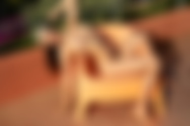 [PHD] 2024-11/10 Maris - The Astrologer/28l.jpg
