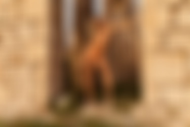[photodromm.com] 2015-10/[photodromm.com] - 2015.10.20 - Claudia - Mythology II (x50) 2000x3000/44l.jpg