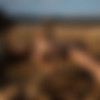 2022phdee/2021-12/[photodromm] 2021-12-14 Margot - Western Slope (x46, 3000px)