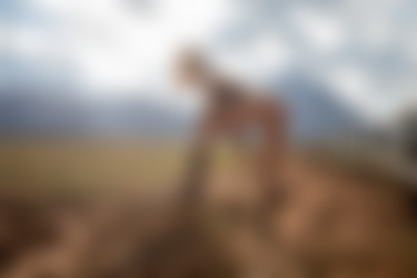 2022phdee/2021-12/[photodromm] 2021-12-14 Margot - Western Slope (x46, 3000px)/Western Slope (4).jpg