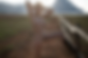 2022phdee/2021-12/[photodromm] 2021-12-14 Margot - Western Slope (x46, 3000px)/Western Slope (40).jpg