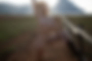 2022phdee/2021-12/[photodromm] 2021-12-14 Margot - Western Slope (x46, 3000px)/Western Slope (41).jpg