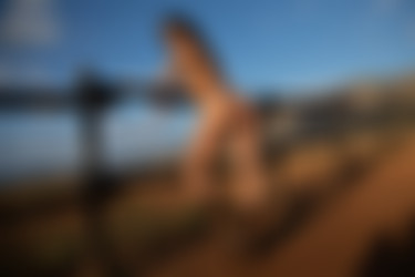 2022phdee/2021-12/[photodromm] 2021-12-14 Margot - Western Slope (x46, 3000px)/Western Slope (45).jpg