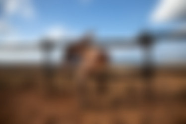 2022phdee/2021-12/[photodromm] 2021-12-14 Margot - Western Slope (x46, 3000px)/Western Slope (7).jpg