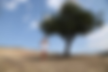 photodromm.com - 2013-01/janine - 07 - under the tree/01l.jpg