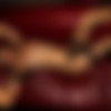 photodromm.com - 2011-12/elizabeth - 02 - red blood leather 2