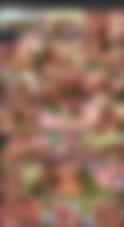 COHF 2005/15_RIKKIs_Cum_Quest_Whole_Scene.wmv.jpg