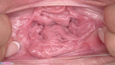 PJGirls/pjgirls_2023.11/Claudia - Deep Inspection - 2023-11-03h.mp4