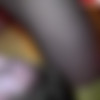 [MyDirtyHobby.com] laurateen thumbnail