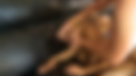GhettoGaggers.com/127 - Monet Devine.mp4