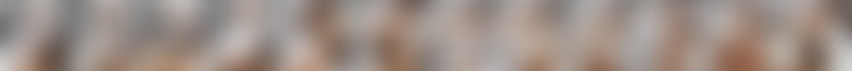 [czechcasting.com] screencaps