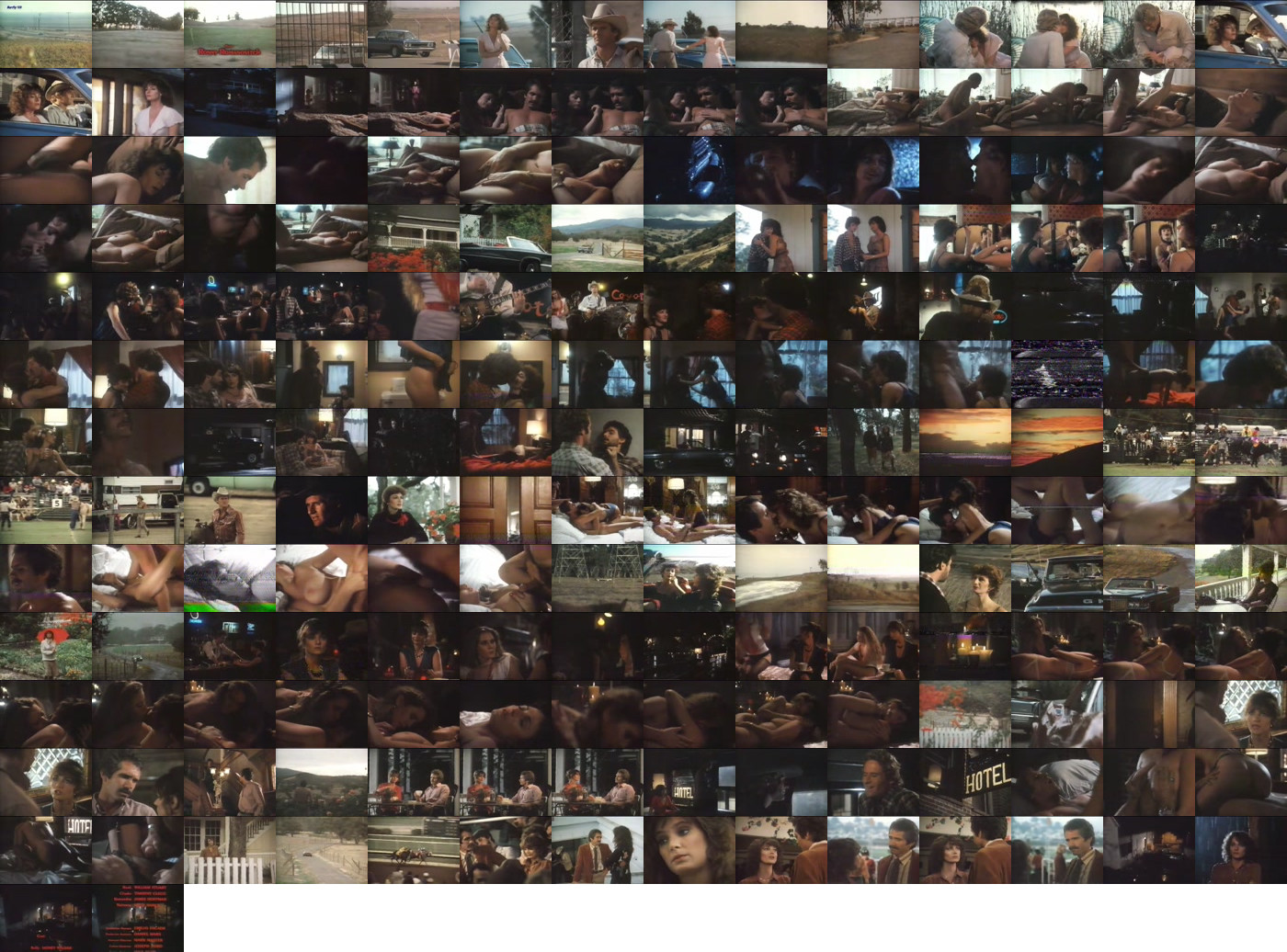 Honey Wilder Filmography (1982-1989) + Bonus/(1982) - Wild Dallas Honey.avi